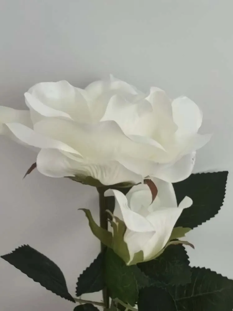 Lampada solare a LED Rosa Ø10 x 67 cm bianco
