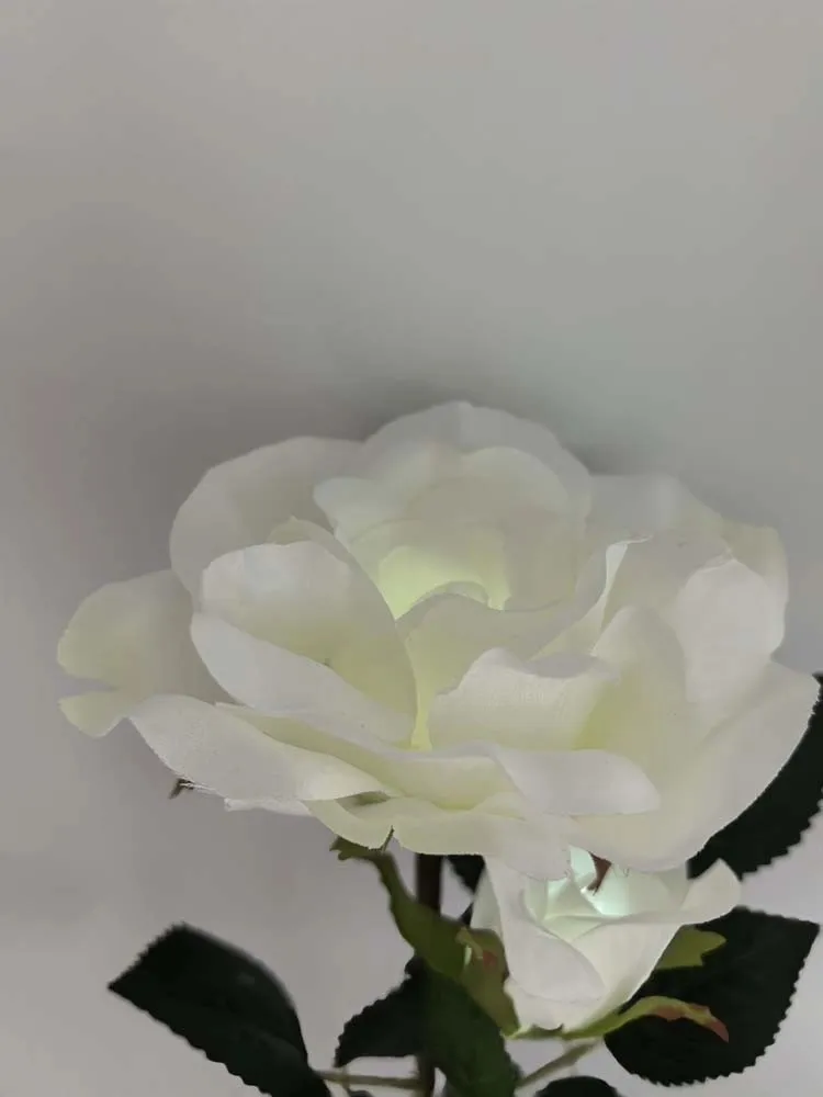 Lampada solare a LED Rosa Ø10 x 67 cm bianco