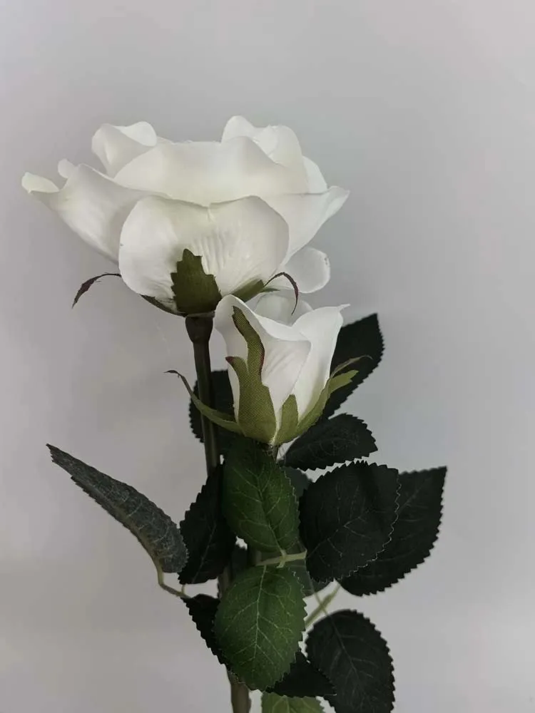 Lampada solare a LED Rosa Ø10 x 67 cm bianco