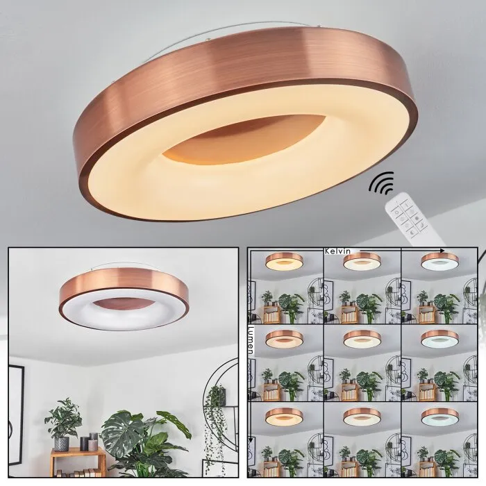 Sachseln Plafoniera LED Bianco, 1-Luce