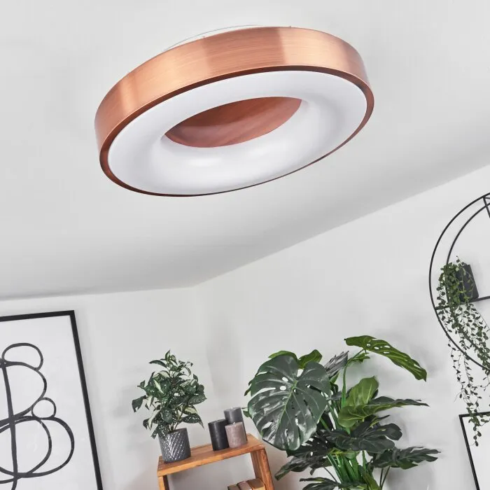 Sachseln Plafoniera LED Bianco, 1-Luce