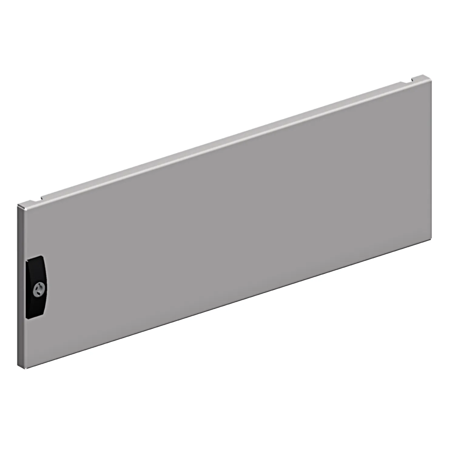 Sportello liscio Schneider Electric per SFM Spacial, 250x600mm